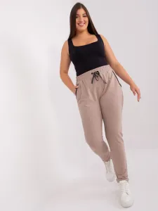 Sweatpants-RV-DR-4765.52-dark beige