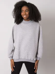 Sweatshirt-RV-BL-7447.29-gray