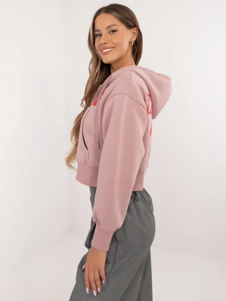 Sweatshirt-CLM-BL-1331.02P-light pink