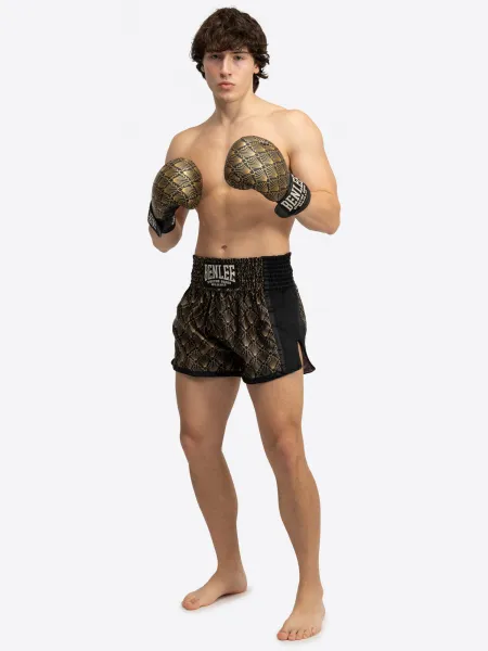 Benlee Men's thaibox trunks