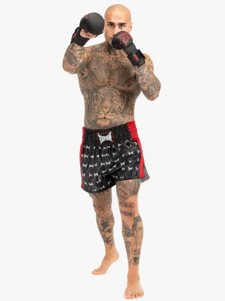 Tapout Men's thaibox trunks