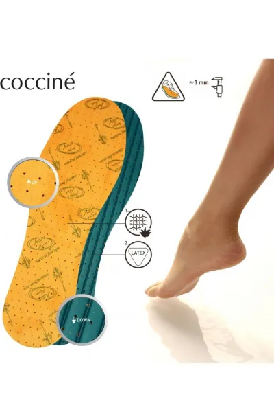 Coccine Vložky