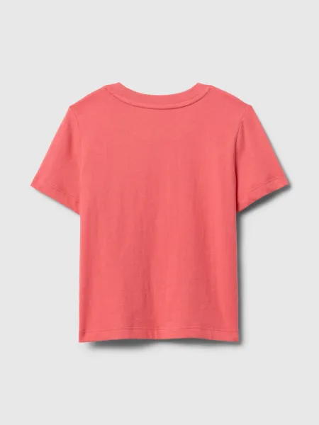 GAP Baby T-Shirt Pocket - Boys