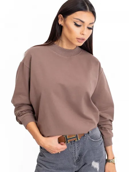 Sweatshirt-RV-BL-5185.92P-brown
