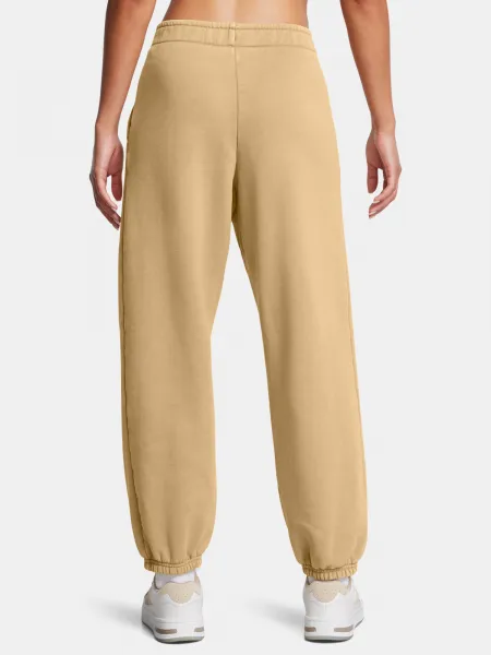 Women's pants Under Armour UA Icon HWT Flc OS Pant-BRN - Women's