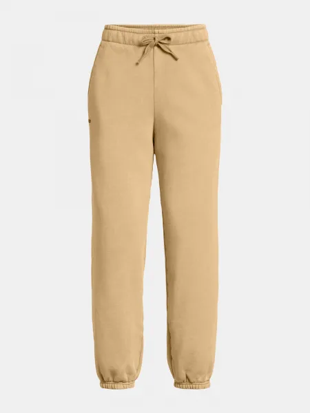 Women's pants Under Armour UA Icon HWT Flc OS Pant-BRN - Women's