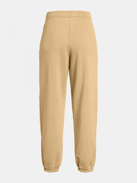 Women's pants Under Armour UA Icon HWT Flc OS Pant-BRN - Women's