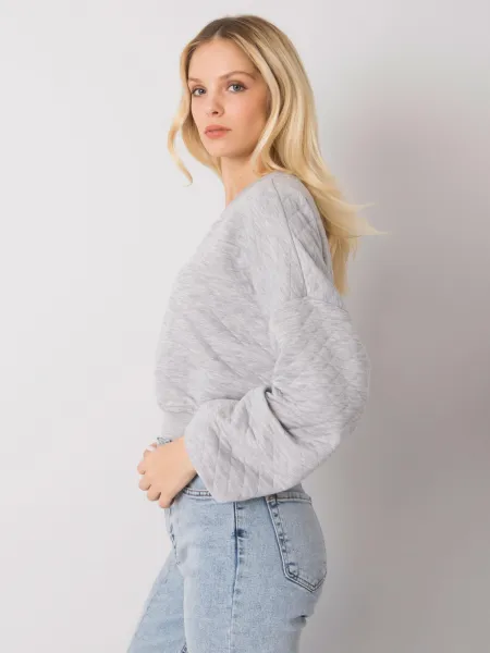 Sweatshirt-RV-BL-7450.64-gray