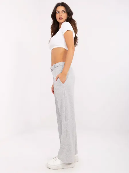 Trousers-DHJ-SP-20356.49-grey