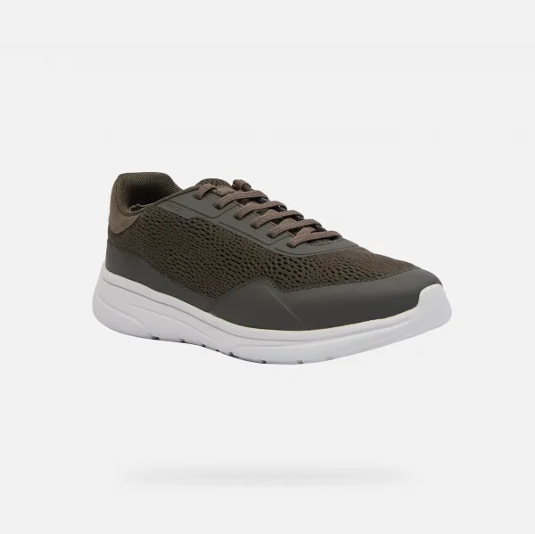 Khaki men's sneakers Geox Klaiver - Men's