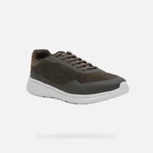 Khaki men's sneakers Geox Klaiver - Men's