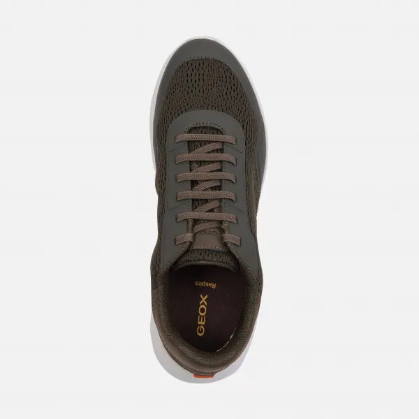 Khaki men's sneakers Geox Klaiver - Men's