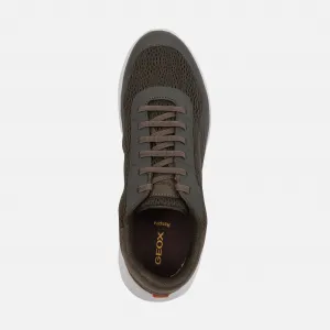 Khaki men's sneakers Geox Klaiver - Men's