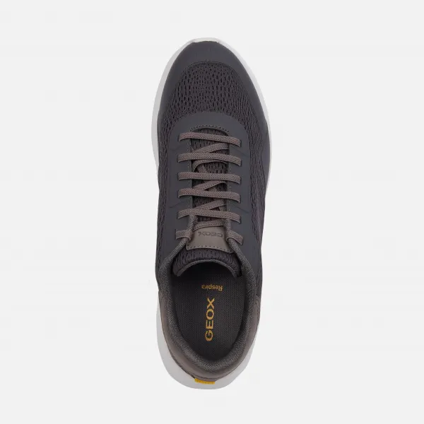 Dark grey men's sneakers Geox Klaiver - Men's