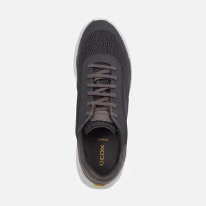 Dark grey men's sneakers Geox Klaiver - Men's