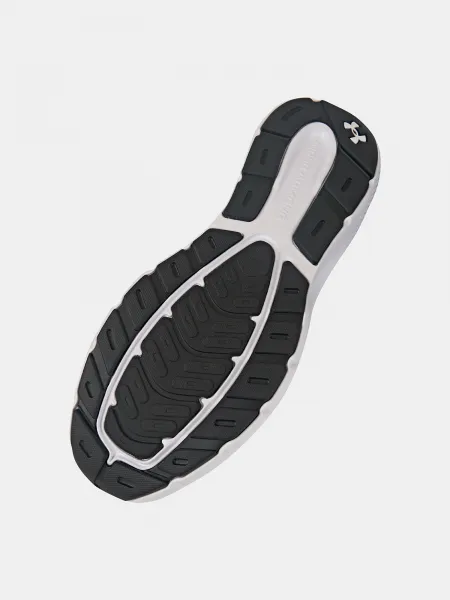 Men's shoes Under Armour UA Charged Rogue 5 - Men's
