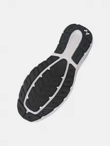 Men's shoes Under Armour UA Charged Rogue 5 - Men's