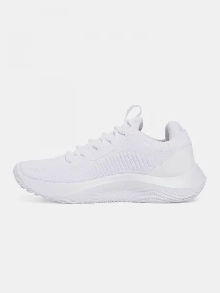 Women's shoes Under Armour UA W Dynamic 2 - Women's