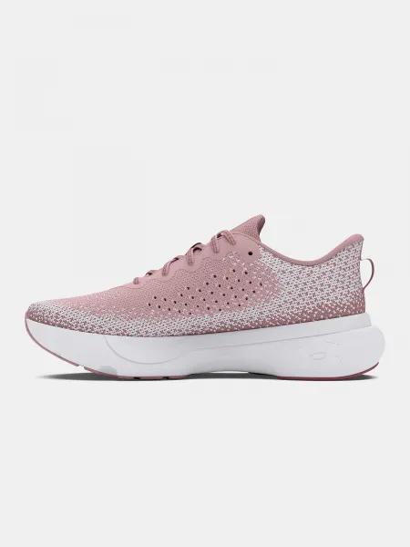 Women's shoes Under Armour UA W Infinite - Women's