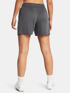 Women's shorts Under Armour UA W's Ch. Knit Short-GRY - Women's