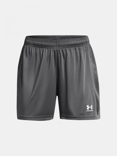 Women's shorts Under Armour UA W's Ch. Knit Short-GRY - Women's