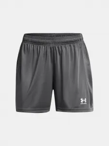 Women's shorts Under Armour UA W's Ch. Knit Short-GRY - Women's