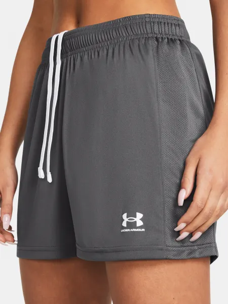 Women's shorts Under Armour UA W's Ch. Knit Short-GRY - Women's