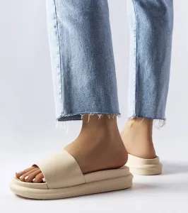 D/CEO White slides Ypsy