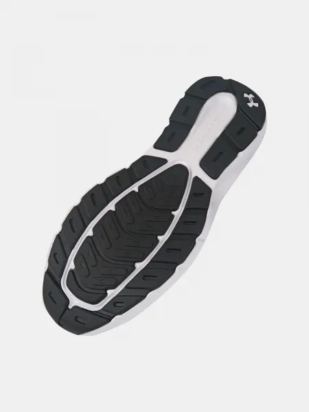Men's shoes Under Armour UA Charged Rogue 5 - Men's