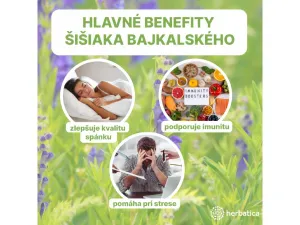 Šišiak bajkalský tinktúra - 100ml - Herbatica