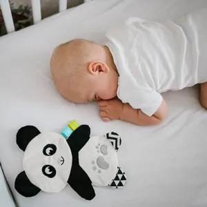 BABYONO Hračka maznáčik Panda Polly 3m+