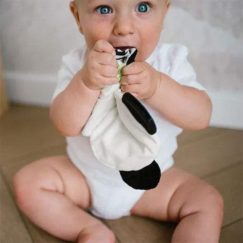BABYONO Hračka maznáčik Panda Polly 3m+