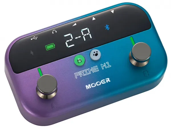 Mooer Prime Minimax M1