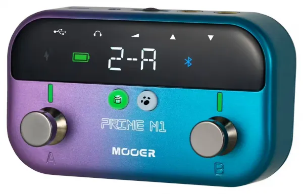 Mooer Prime Minimax M1