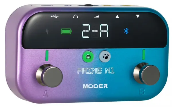 Mooer Prime Minimax M1