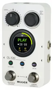 Mooer GL100