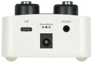 Mooer GL100