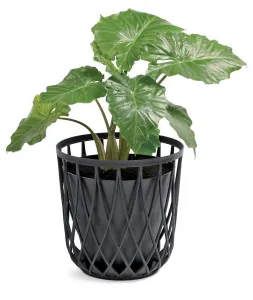 Prosperplast Univerzálny kôš UNIQUBOS 44,7 cm sivý