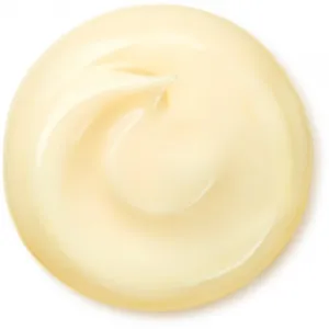 Shiseido Benefiance Wrinkle Smoothing Cream Enriched denný a nočný krém proti vráskam pre suchú pleť 75 ml