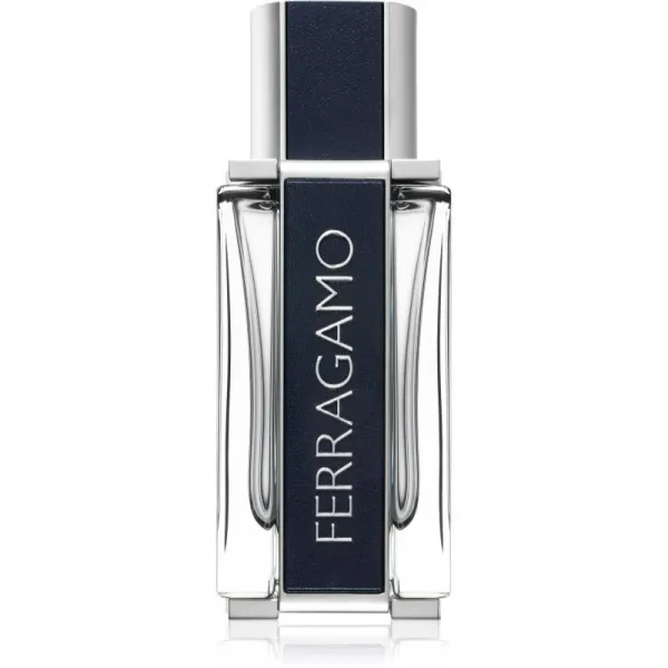 Ferragamo Ferragamo toaletná voda pre mužov 50 ml