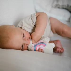 BABYONO Hračka maznáčik Lama Lulu ružová 0m+