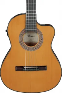 Ibanez GA5TCE3Q Amber