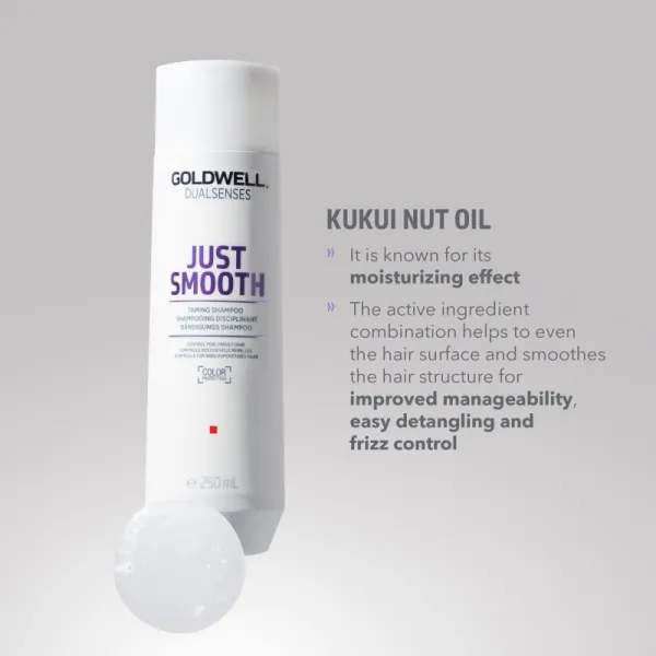 Goldwell Dualsenses Just Smooth uhladzujúci šampón pre nepoddajné vlasy 250 ml