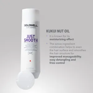 Goldwell Dualsenses Just Smooth uhladzujúci šampón pre nepoddajné vlasy 250 ml