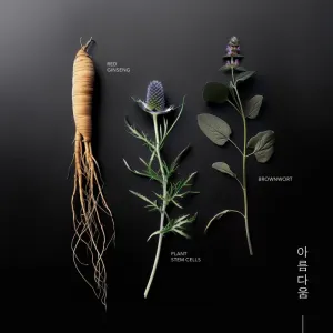 KORIKA Korean Heritage Ginseng & Marine Stem Cells Firming Eye Patch Mask spevňujúca maska na očné okolie 2 ks