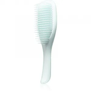 Tangle Teezer The Ultimate Detangler Fine & Fragile plochá kefa pre krehké vlasy Ice Blue 1 ks