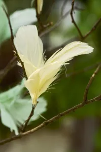 IB Laursen Závesné perie na drôtiku FEATHER DECOR - viac farieb