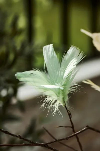 IB Laursen Závesné perie na drôtiku FEATHER DECOR - viac farieb