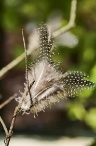 IB Laursen Závesné pierko na drôtiku FEATHER DECOR hnedé - viac farieb