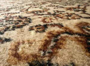Koberec Samira New 12002-050 Beige